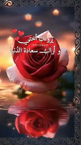 اللهم احفظ اختي في حفظك وأمانك، واجعلها في ودائعك وتدبيرك، ويسر لها أمرها، وأبعد عنها شر كل ذي شر#أختي #صباحكم_سعاده #اللهم_بك_اصبحنا#اصباحنا_و_اصبح_الملك_لله #صباح_الخيِر 