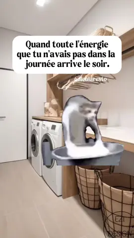 L'énergie que j'aurai souhaité avoir dans la journée 😭 #nouvellevie #pourtoi #fyp #businessenligne #changerdevie 