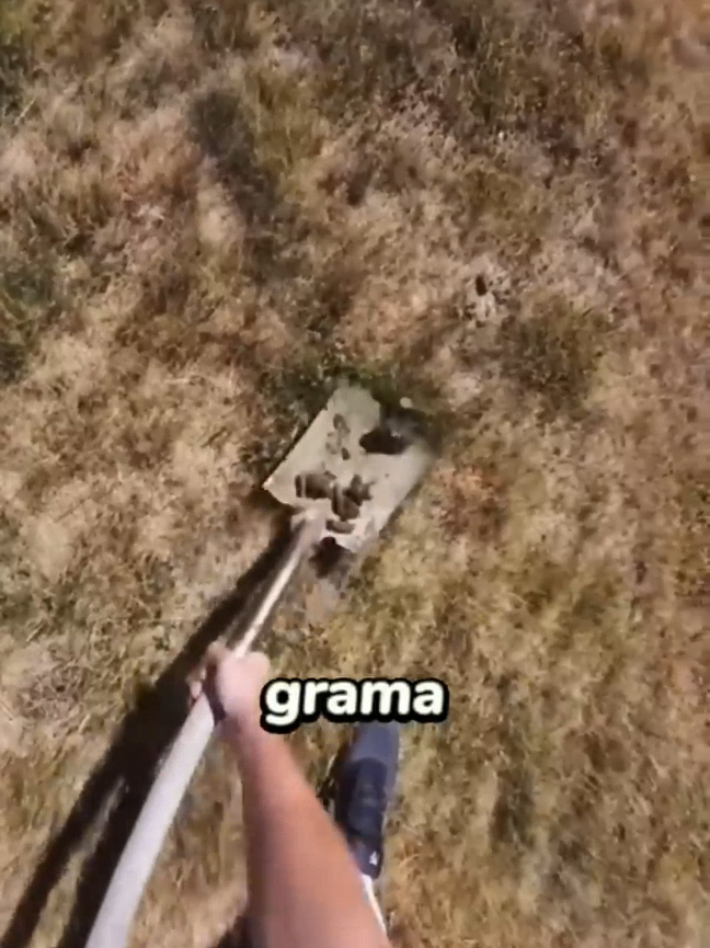 O que você achou disso... #viral #impresionante #incrivel #curiosidades #monetizedviews 