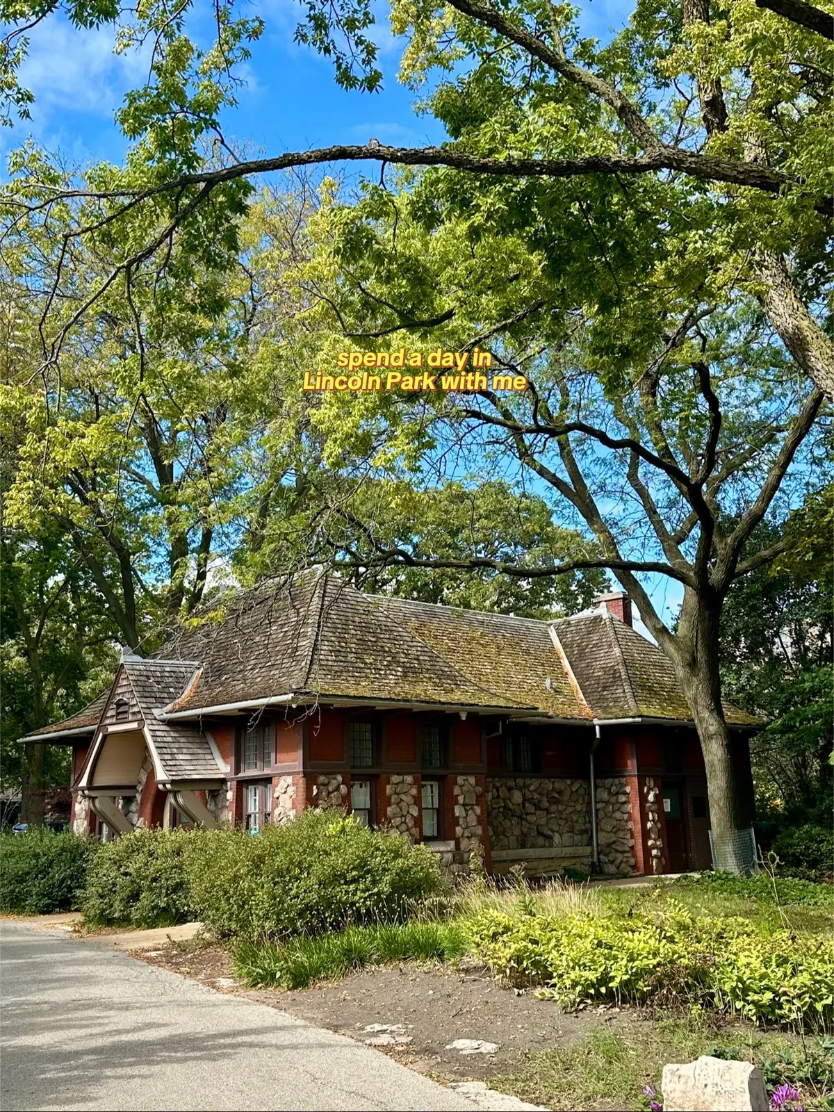 #lincolnparkchicago #chicagotiktok #farmersmarket #lincolnparkzoo #autumnaesthetic 