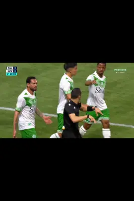 Após análise do var o Juiz anula o penalti para o Palmeiras. #brasileirao #juventude #palmeiras  #futbol⚽️ #brasil🇧🇷 