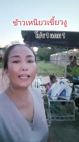 ข้าวเหนียวเขี้ยวงู#ข้าวเหนียว #ข้าวเหนียวเขี้ยวงู #ครัวtiktok #แก้วจ๋า_พารีวิว 