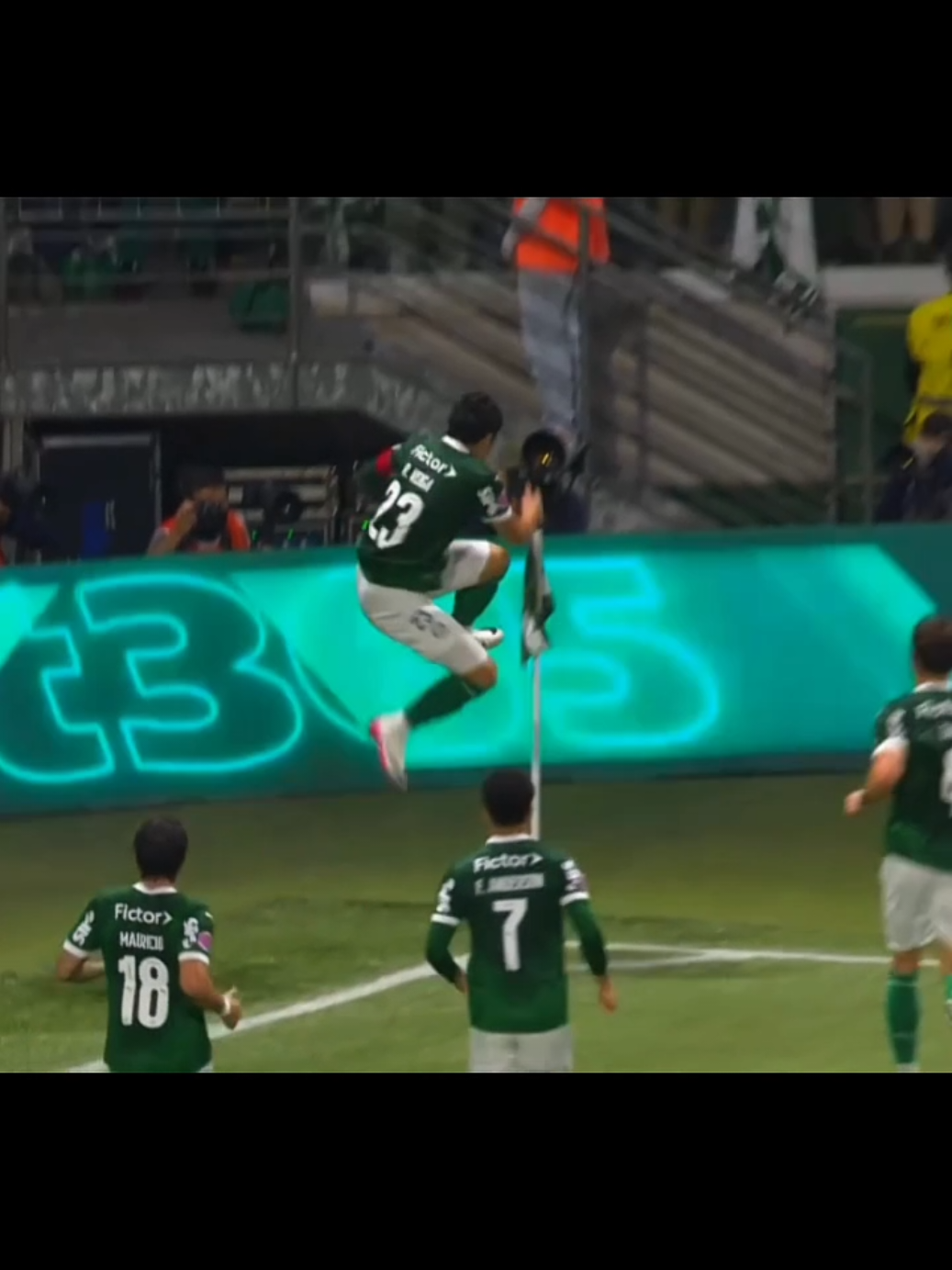 Gol do Palmeiras #palmeiras #fy #juventude #fyp 