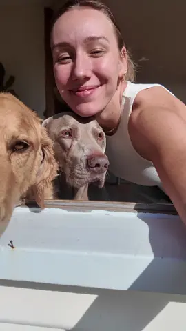 IM HOME ☀️ #aussie #WNBA #coffee #dogs #tasmania 