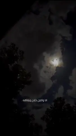 #اكسبلورexplore  ✨✨✨✨