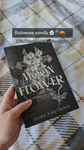 On sale in my TikTok shop 😍 Grab the holiday novella bundle to get a spicy Halloween romance AND a dark Gothic Christmas romance. 🖤 #bookbundles #holidayromancebooks #halloweennovella #christmasnovella #spicyromancebooks 