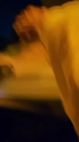 #المغرب🇲🇦تونس🇹🇳الجزائر🇩🇿 #berkane_49🍊🍊🍊🍊🍊🍊🍊🍊 #oujda_48_city #الشعب_الصيني_ماله_حل😂😂 #LIVEIncentiveProgram 