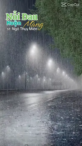 #nhachaymoingay  #nhacbuontamtrang  #thinhhanhtiktok  #xuhuong2025tiktok 