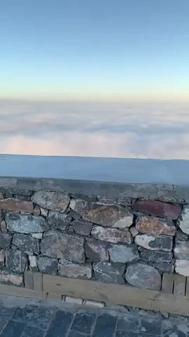 ☁️☁️#fry#views#fryyy#calm#cloud 
