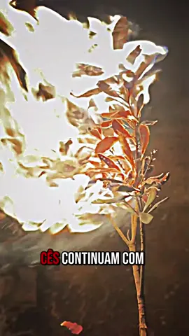 #acampar #fumante #isqueiroeletrico #achados 