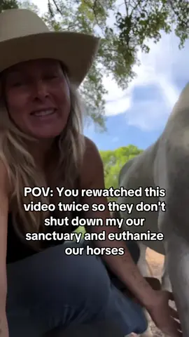 Every kind comment would mean a world to me #horses #shelter #sanctuary #animalsoftiktok #horsefarm       
