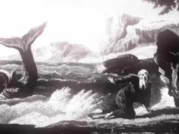 QUAL FOI O PEIXE QUE ENGOLIU JONAS!? #misterio #curiosidades #biblia 