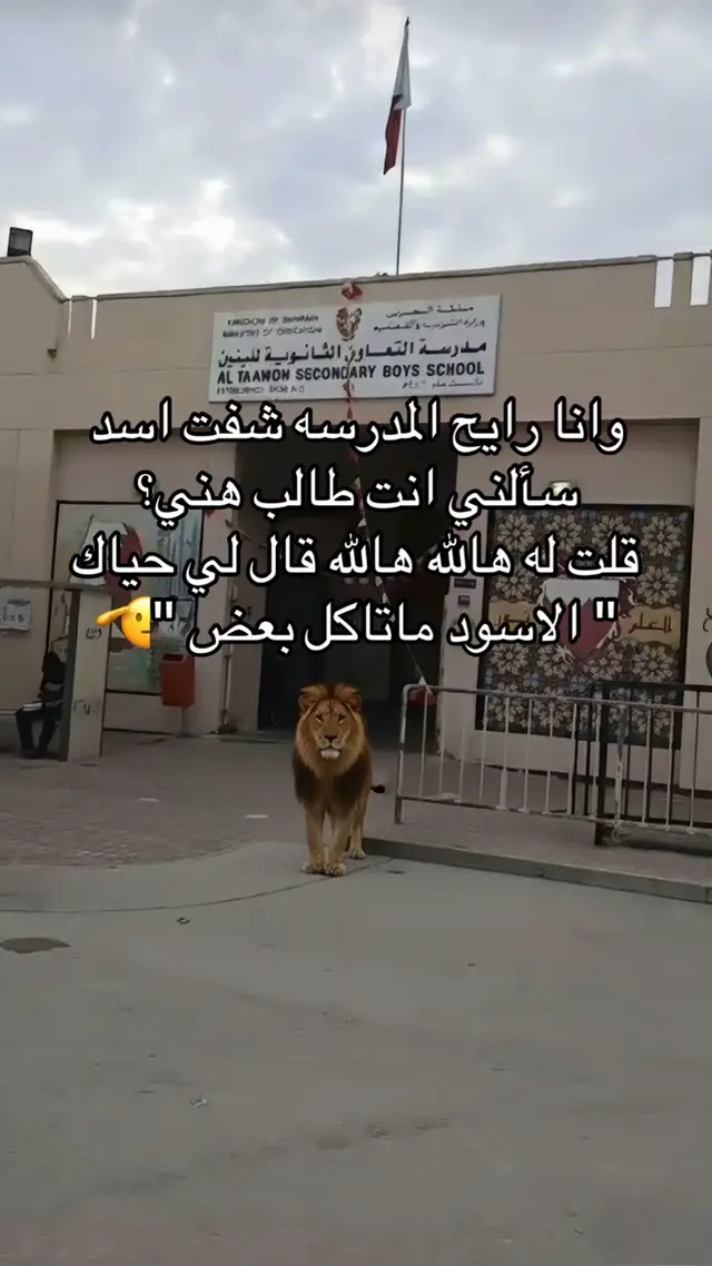 #مدرسة_التعاون #الشعب_الصيني_ماله_حل😂😂 #البحرين #pov #bh 