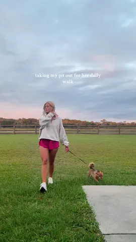 please tell me yall have seen this trend #dog 