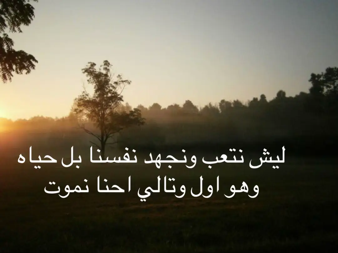 #explore #الحياه #iraq #viral #foryou 