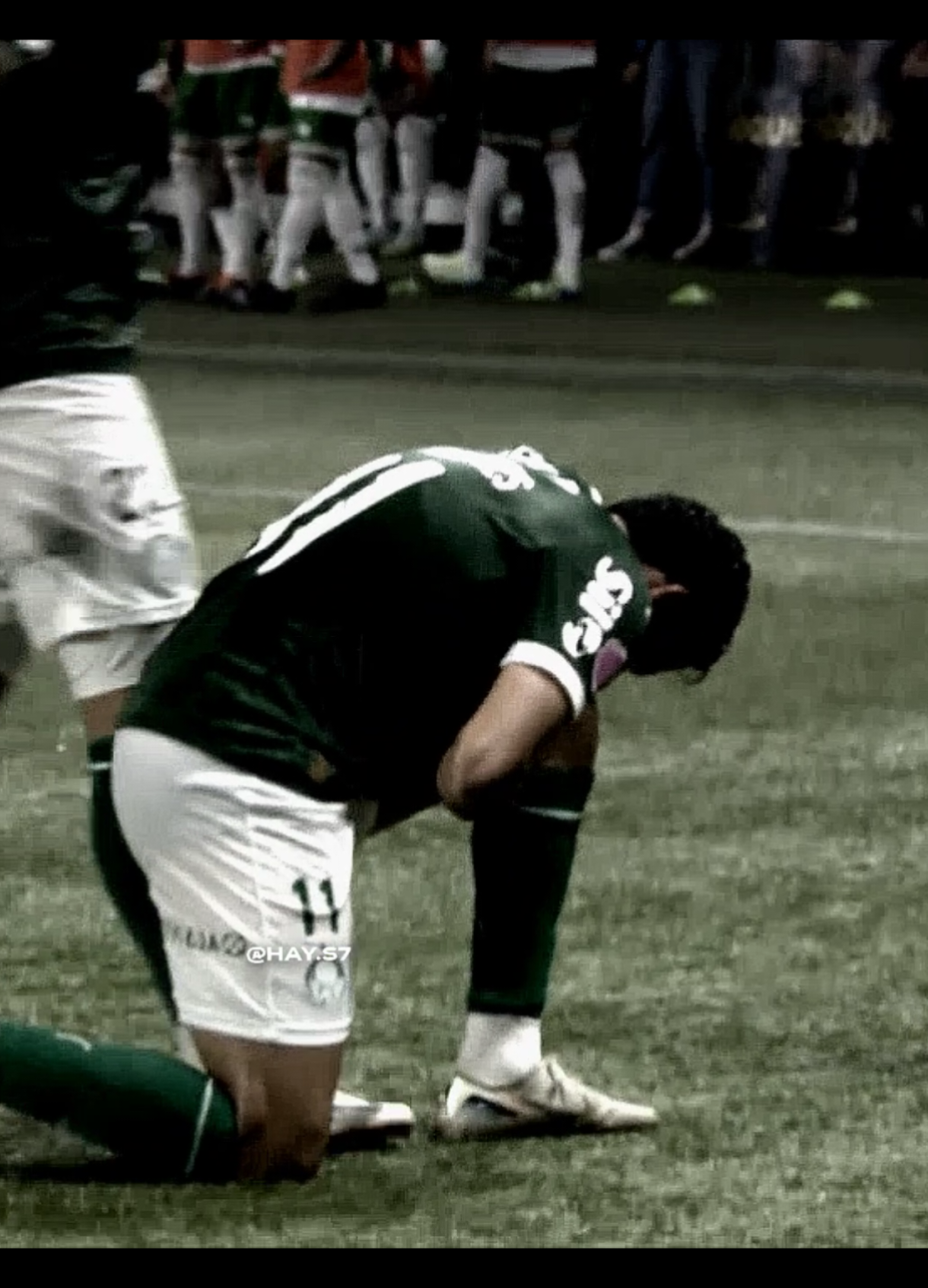 𝗚𝗨𝗘𝗥𝗥𝗘𝗜𝗥𝗢, 𝗠𝗘𝗥𝗘𝗖𝗘𝗗𝗢𝗥 🥹💚 • #brunorodrigues #palmeiras #hayftbl #fy 