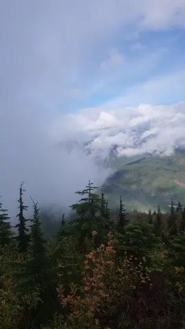 👻#washington #Love #wow #autumn #pnw 