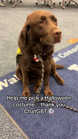 We’re fundraising in the cutest way possible! Donate toward your favorite costume—Bumblebee, Reese’s, or Axolotl. The costume with the highest total will be Champ’s official Halloween look Venmo: Monica-house-2 #creatorsearchinsights #dogcostume #therapydog #chatgpt #fyp 