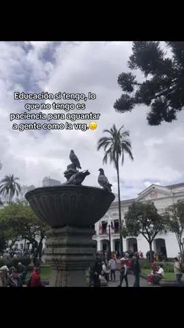 😜#contenido #humor 