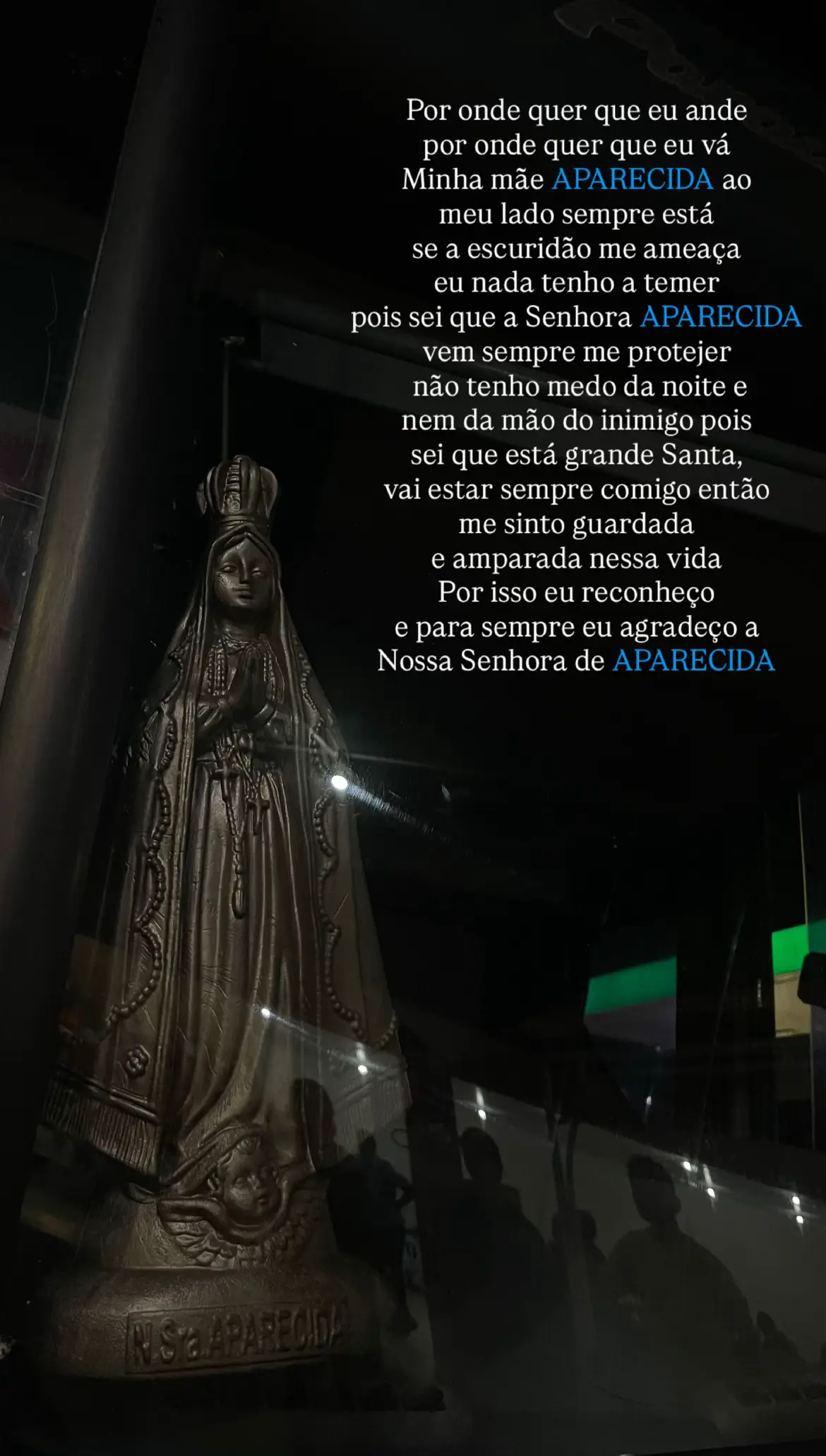 #fyp #catolica #nossasenhoraaparecida 