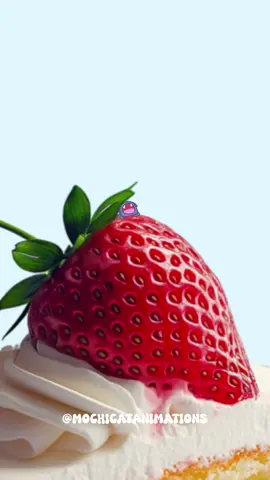 mochi vs strawberry shortcake 🍰 #cat #cute #kawaii #animation 