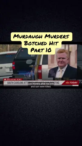 Botched Hit - Part 10 - Low Country: The Murdaugh Dynasty #murdaughfamily #truecrime #crime #crimetok #documentary 