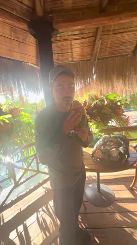 @Variel Sánchez 😂