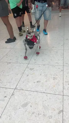 Creo que me mudaré a otro planeta 🤪   #robotdog #Miami #Florida