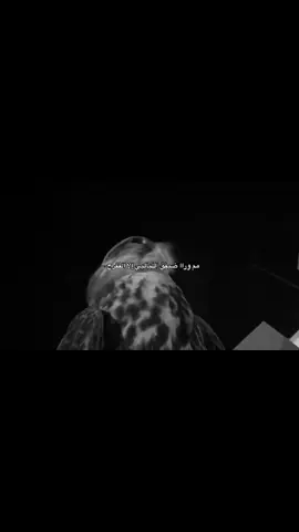 م ورا ضيق الليالي إلا الفرج #الفرج #ضيق #اكسبلورexplore #لايك #fyp 