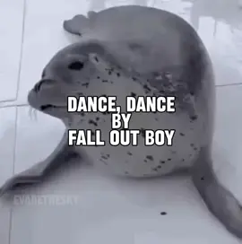 dance dance by fall out boy seal music video with a sneaky promo in the middle… #seal #sealtok #falloutboy #dancedance #lyrics 