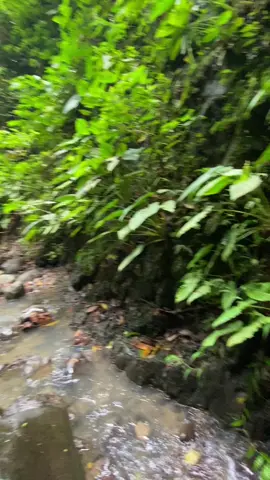 #unwindd#natureee#peace 