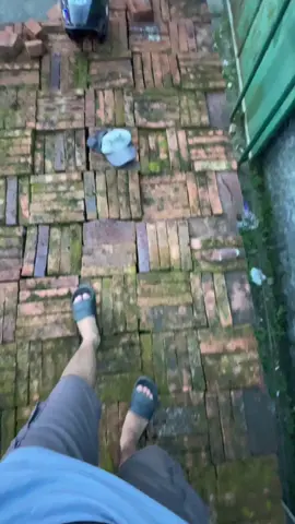 selamat pagiii #majulancarutama #siswabaru007 #siswabarumlu007 #busmania #videobus #cinematicbus #fyppppppppppppppppppppppp #fyp #fypage #xybca #4u 