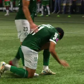 Que gol emocionante! 😍💚 bem vindo de volta ao futebol, Bruno Rodrigues! 💚 #brunorodrigues #emocionante #palmeiras #brasileirao #futebolbrasileiro 