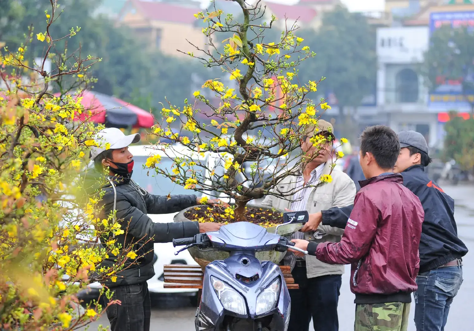 🎉🧧Hôm nay là Chủ Nhật ngày 12/10/2025  Vậy là còn 80 ngày nữa là đến Tết Dương lịch  ( Tết Tây ) 2026🧨🌸🐎 #TikTokAwardsVN #tettay #tetbinhngo2026 #demnguocnammoi #thanhthoiluottet 