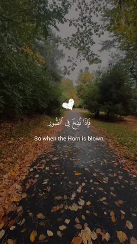 | سورة المؤمنون | القارئ الشيخ : حسام عبدالباقي #القرآن_الكريم #القران_الكريم_راحه_نفسية😍🕋 #السعودية #الكويت #اكسبلور