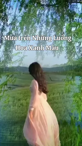 mưa trên những luống hoa xanh màu #nhaccuatui #nhacbolero #nhacxuhuong #nhaccuatoi369 #nhaccuatoi 