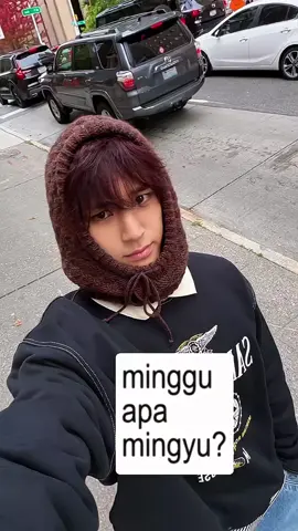 oh jelassss.. #mingyu #seventeen #4u #foryoupagе #xybca 