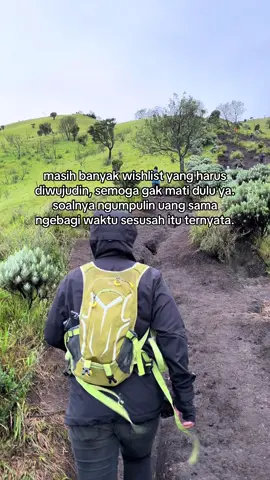 pelan pelan tapi pastii #pendakigunung #fyp #foryou 