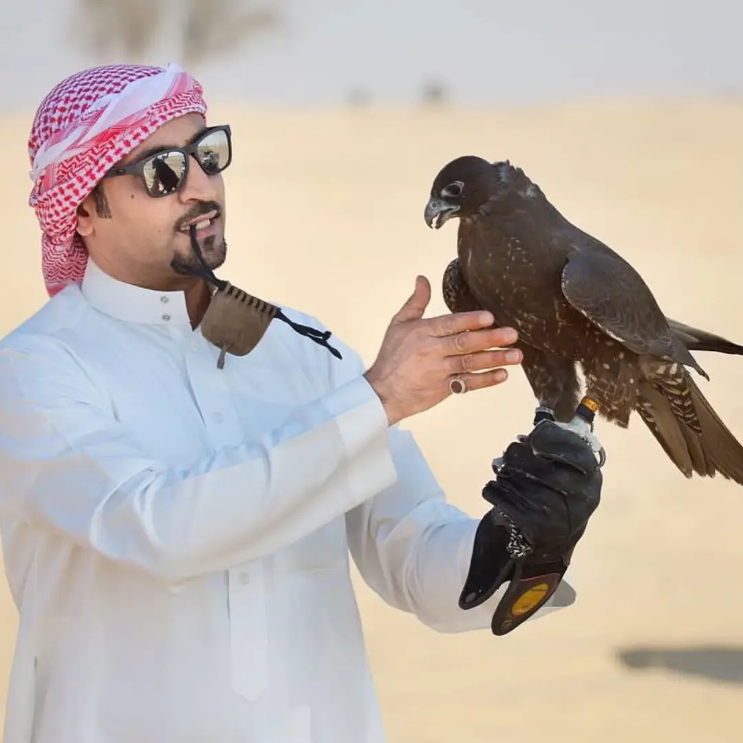 #مدغم_ابوشيبة 