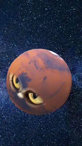 When your cat’s name is Deimos and the filter gets it 👽✨  #DeimosTheCat #AlienCat #MarsCat #Catsoftiktok #FYP 