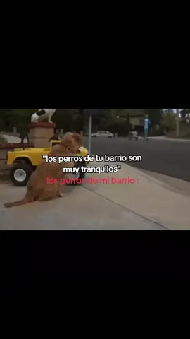 #humor #contenido #paratiiiiiiiiiiiiiiiiiiiiiiiiiiiiiii #fyp #tiktok 