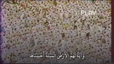 القارىء الشيخ #علي_جابر رحمه الله  #قرآن #quran #اكسبلور #ترند