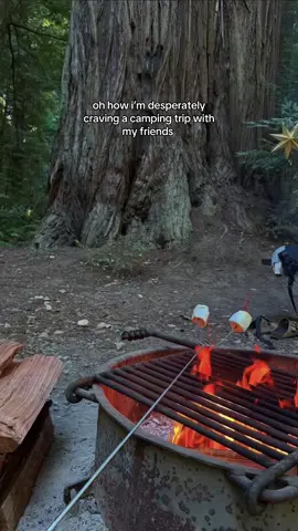 like i need it rn #relatable #viral #fypp #camping 