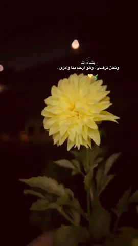 #اكسبلورexplore #fypシ゚ #oops_alhamdulelah #🥺🤍 