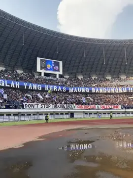 135+ belum usai ! #persibbandung#persibb2b#gksukaskip📵#malang#aremania 