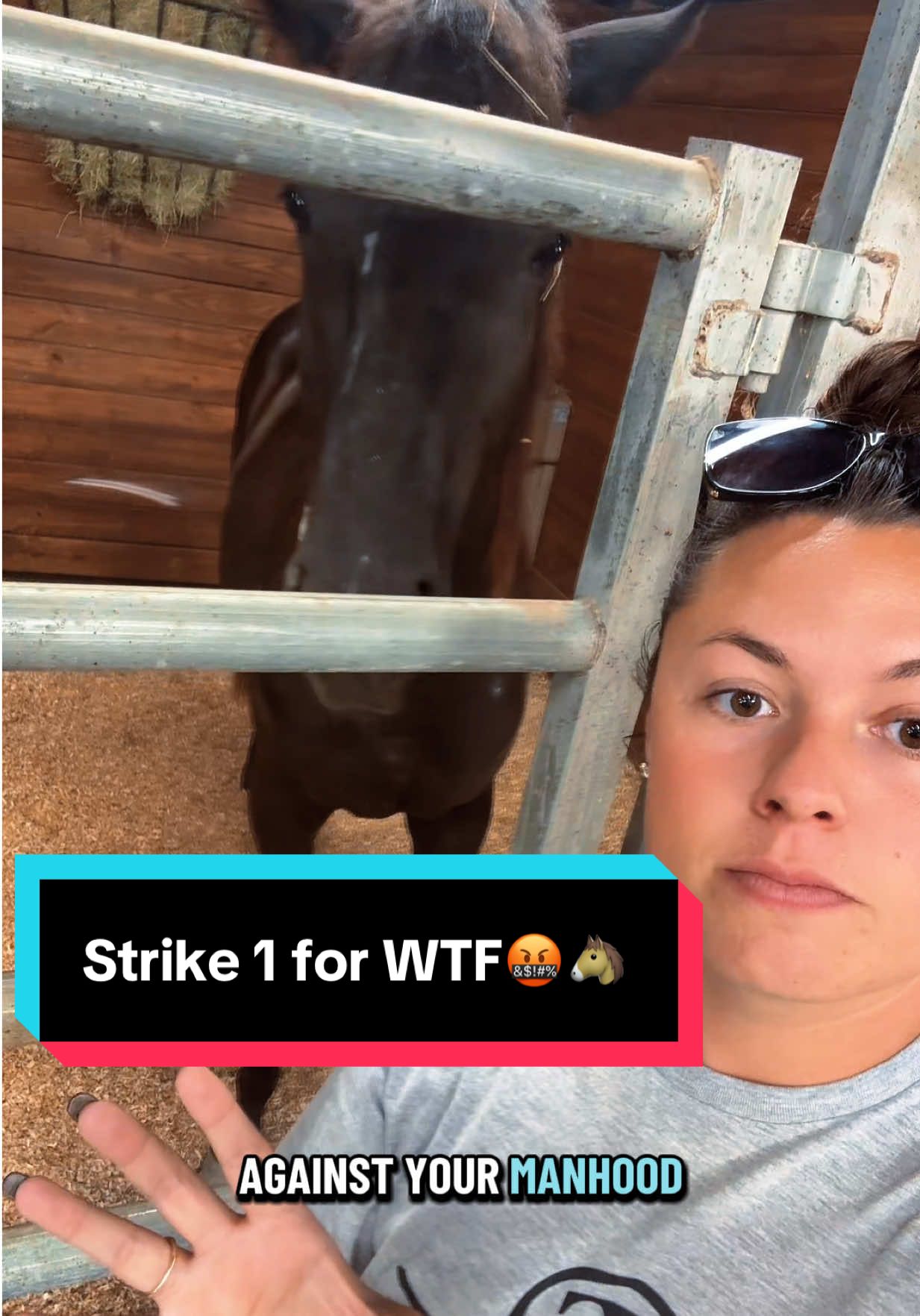 Strike 1 for WTF🤬🐴 #walterthomasfranklin #aqhacolt #stallionprospect #yearling #appendix 