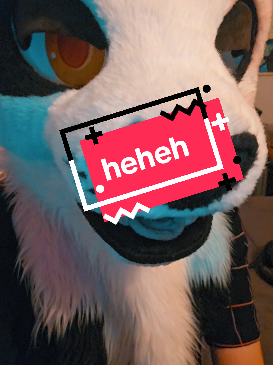 ~<3 #furries #furry #furryfandom #fursuit 