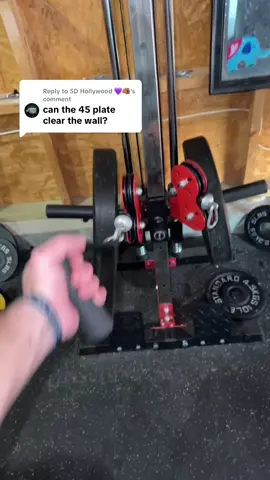 Replying to @5D Hollywood 💜🫵🏽 This is perfect if you don’t wanna spend a lot on a whole cable system #homegym #homegymequipment #tiktokshopfalldealsforyou #tiktoksbopblackfriday  