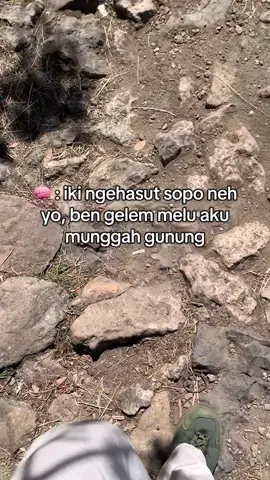 Info info #pendakigunung #gununglawu #pendakifomo #lawuviacemorosewu #lawumountain 