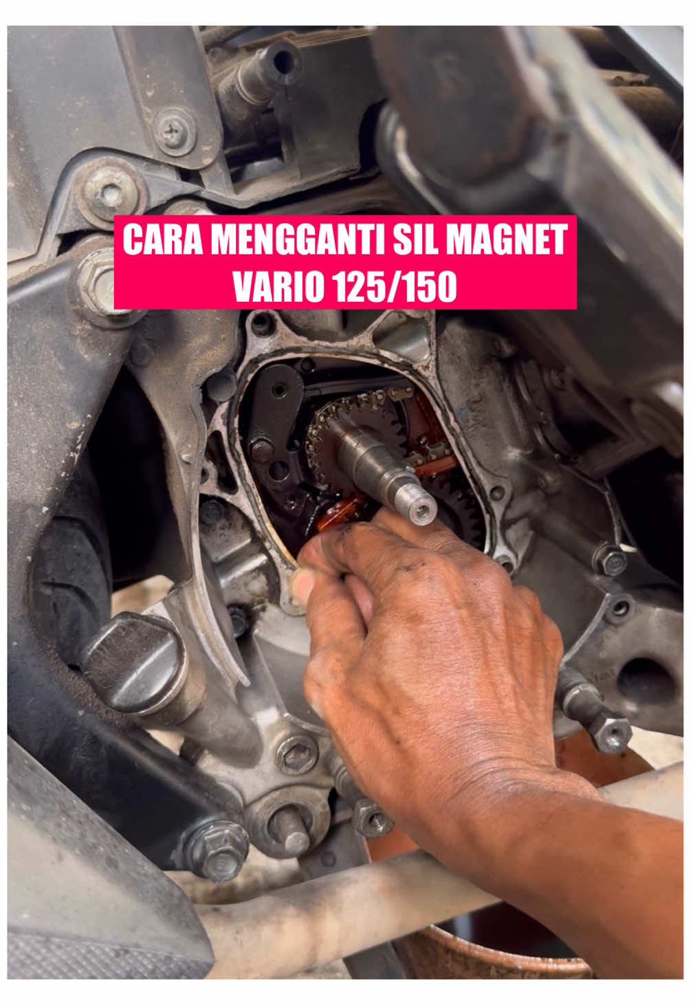 Cara mengganti sil magnet vario 125 / 150